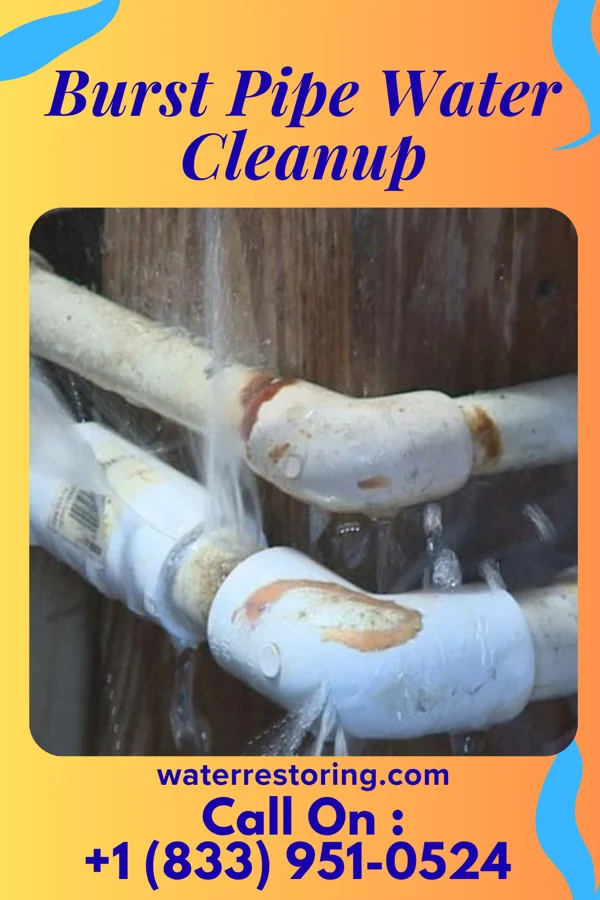 Burst Pipe Water Cleanup in Plainfield, NJ