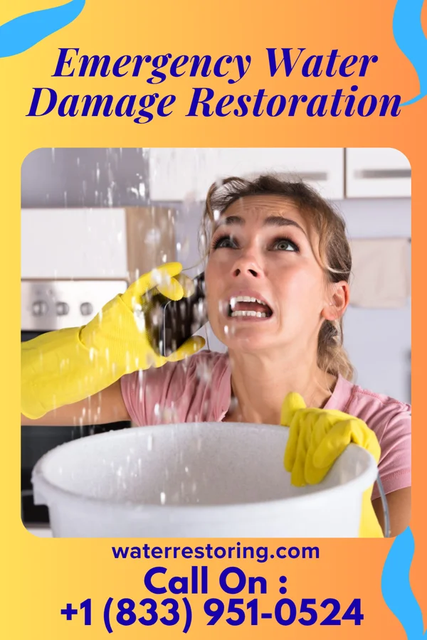Emergency Water Damage Restoration in Plainfield, NJ
