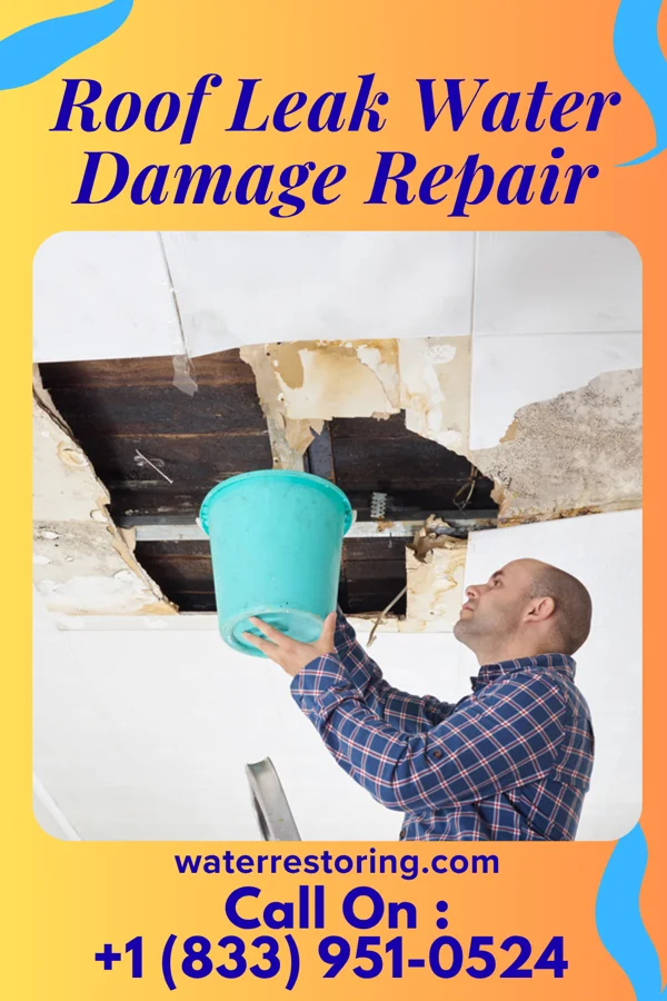 Roof Leak Water Damage Repair in Plainfield, NJ