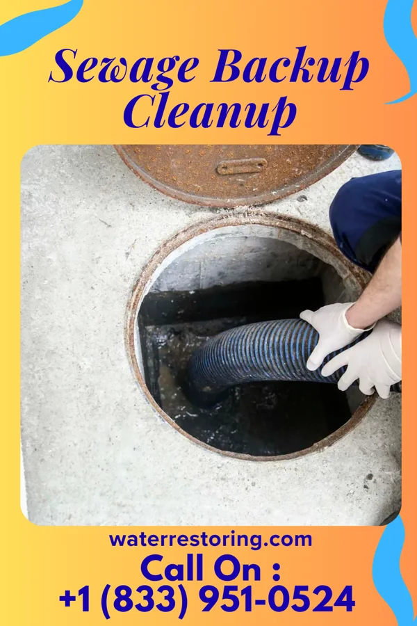 Sewage Backup Cleanup in Plainfield, NJ