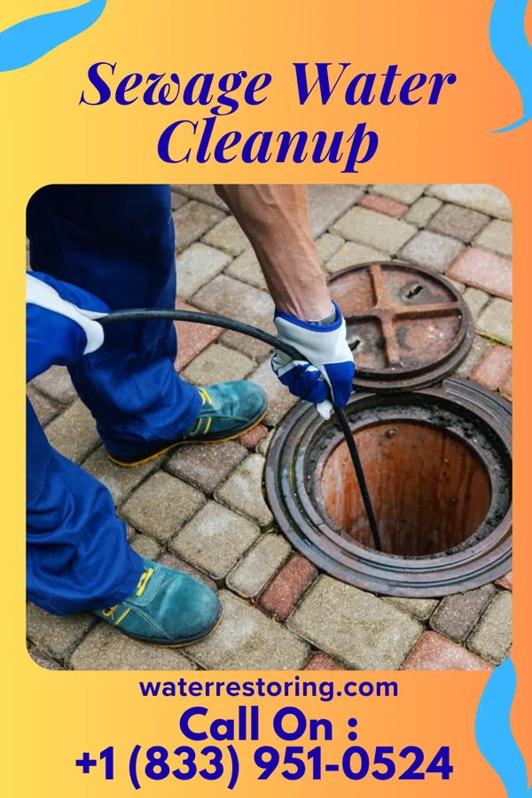 Sewage Water Cleanup in Plainfield, NJ